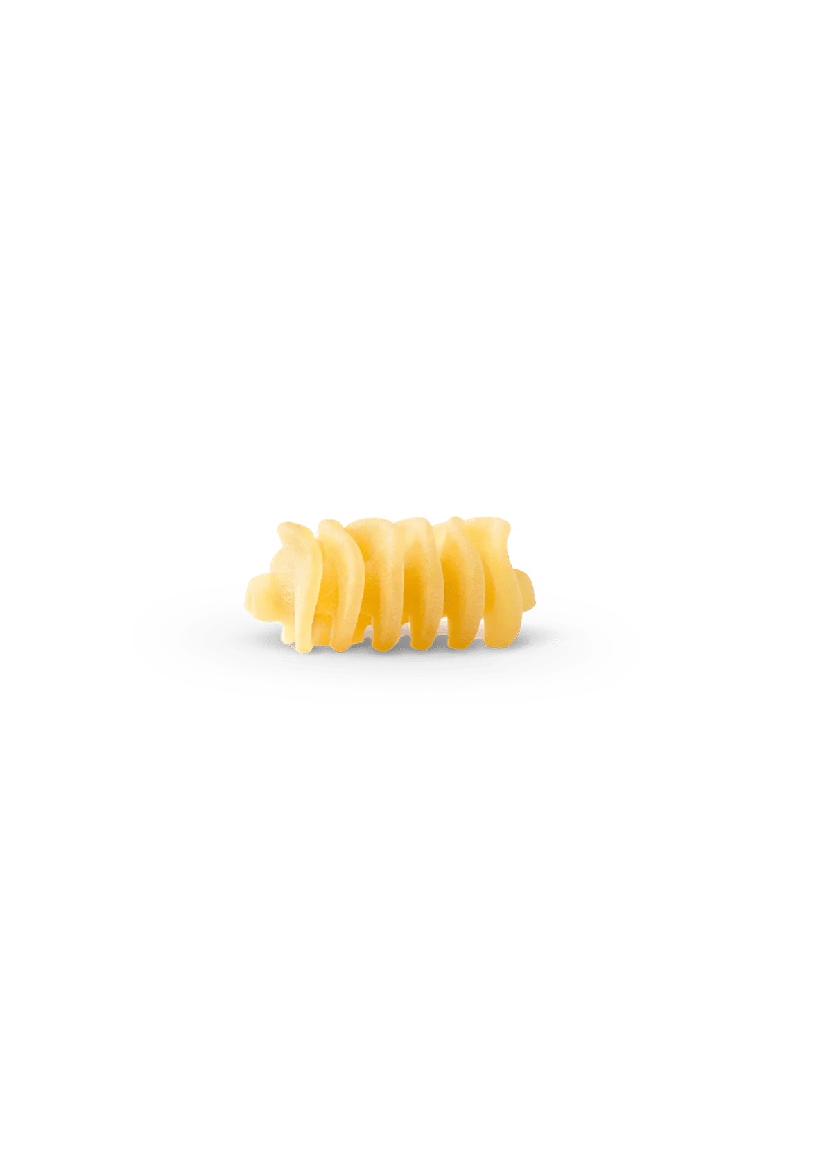 La Molisana Radiatori 100% Italian Grain Pasta (24 bags)
